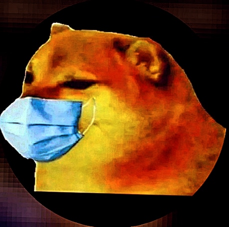 Profile_Image